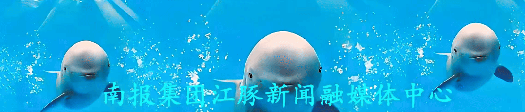 智斗“虫害”守护果香，苏州职教团队用科技响应“强农”号召