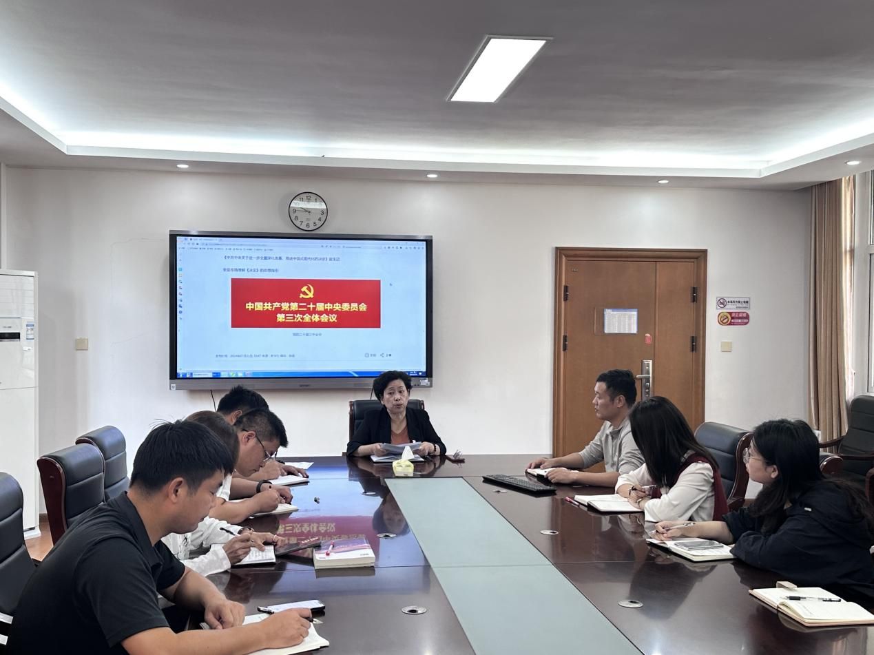 南京市空港小学党支部开展二十届三中全会专题宣讲会