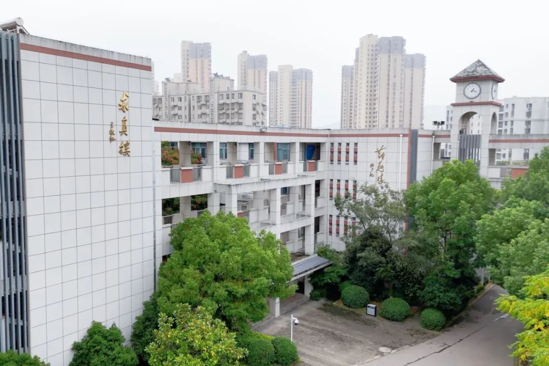 师者如光 微以致远——走进金中岱山,探寻教育里的坚守与力量