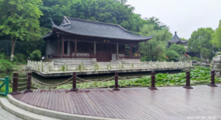 当节水教育遇上“红领巾”，南京市金陵小学把课堂搬进了山水田园