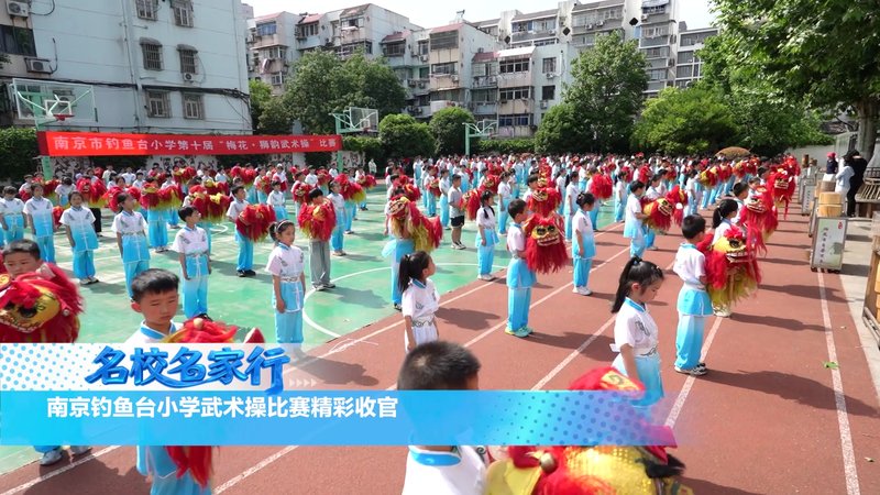 南京钓鱼台小学武术操比赛精彩收官